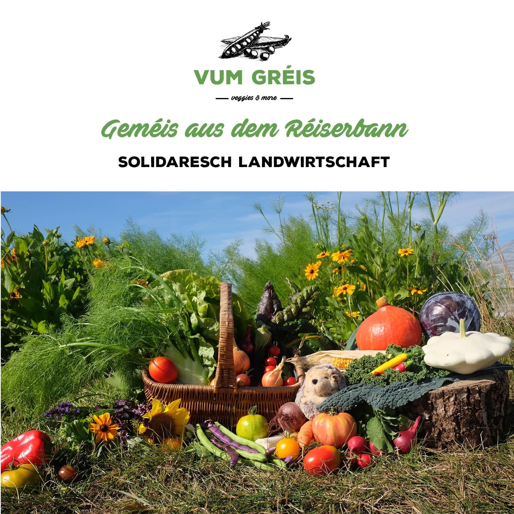 Vum Gréis, Une ferme solidaire, des légumes frais, locaux et de saison. 