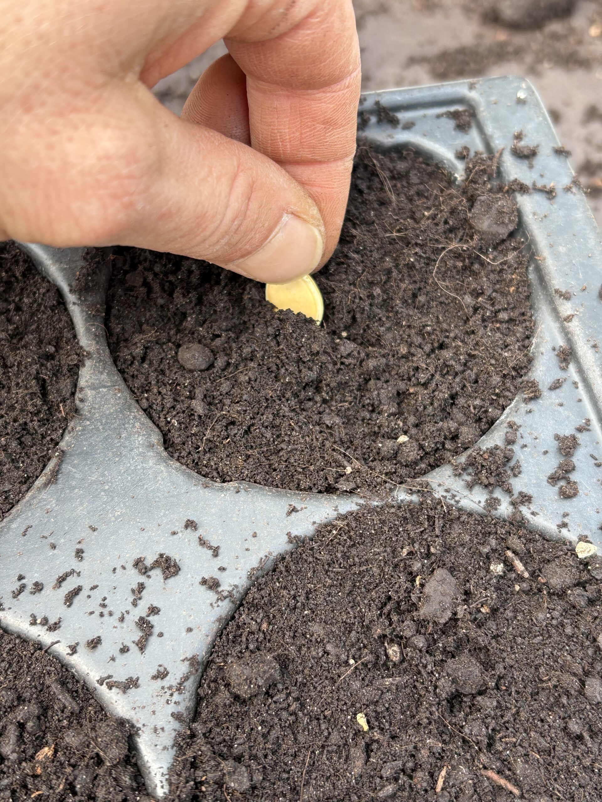 Vum Gréis contact, semer, planter, récolter, faisons le ensemble.